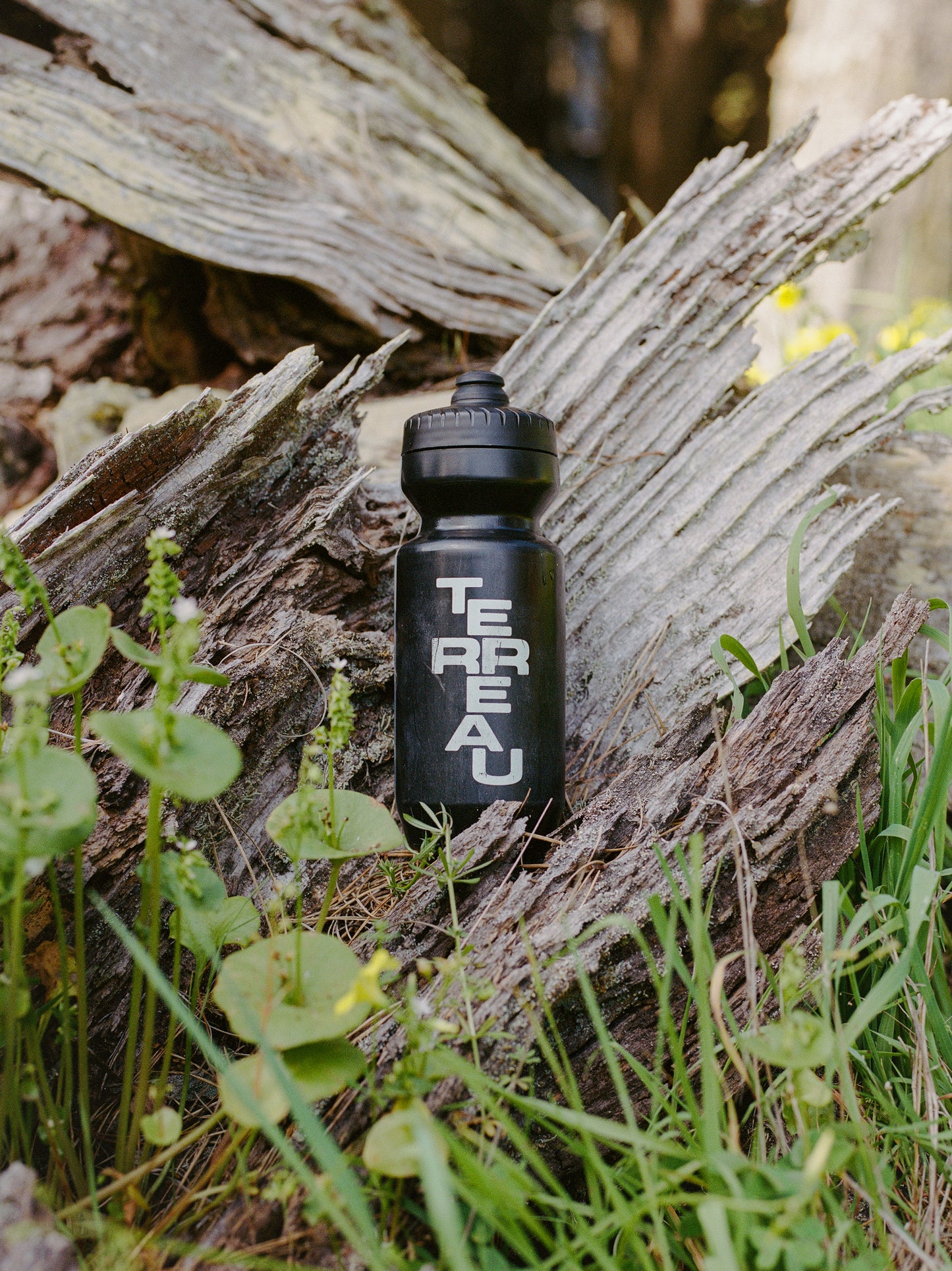 Trail Vessel